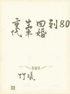 重生回到80年代军婚