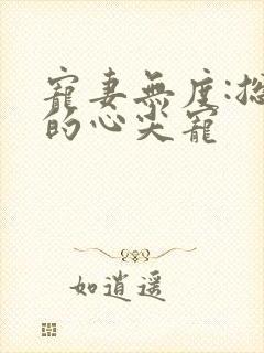 宠妻无度:总裁的心尖宠