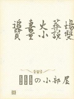 追妻火葬场的高质量小说双男主