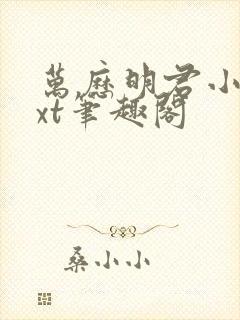 万历明君小说txt笔趣阁