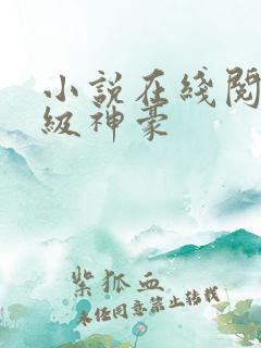 小说在线阅读顶级神豪