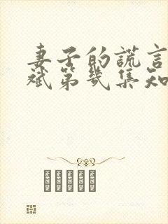 妻子的谎言江一斌第几集知道真相