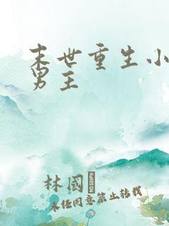 末世重生小说双男主