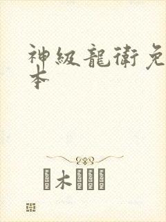 神级龙卫免费完本