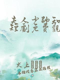 夫人少帅知错了短剧免费观看全集