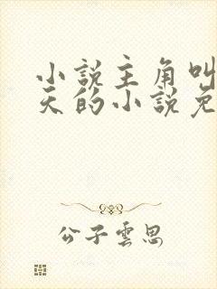 小说主角叫叶凌天的小说免费阅读