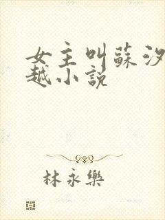 女主叫苏汐的穿越小说