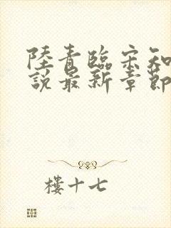 陆青临宋知薇小说最新章节更新