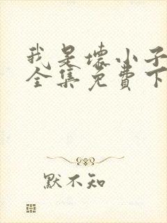 我是坏小子漫画全集免费下拉式漫画