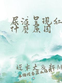 尿液呈现红色是什么原因