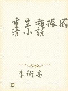 重生赵振国宋婉清小说