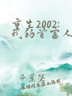 重生2002:我的首富人生全本阅读