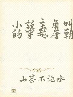 小说主角叫李辰的穿越唐朝小说