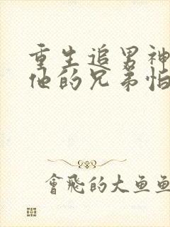 重生追男神却和他的兄弟怕了小说