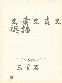 又黄又爽又色无遮挡