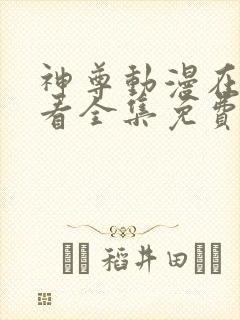 神尊动漫在线观看全集免费播放高清