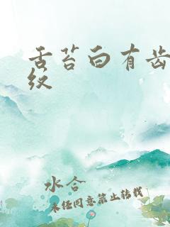 舌苔白有齿痕裂纹