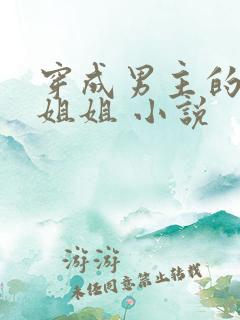 穿成男主的反派姐姐 小说