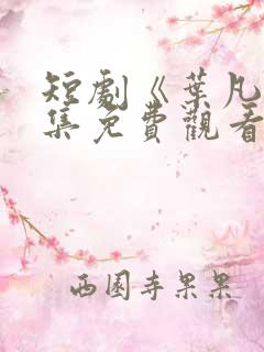 短剧《叶凡》全集免费观看