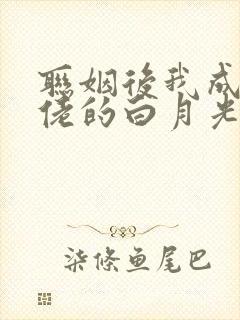 联姻后我成了大佬的白月光笔趣阁