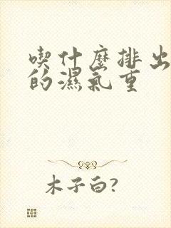 吃什么排出脾胃的湿气重