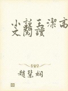 小说王洁高义全文阅读