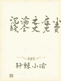 沉沦之夜小说在线全文免费阅读