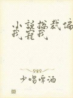 小说总裁偏要宠我宠我