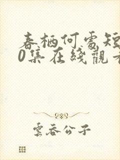 春栖何处短剧70集在线观看