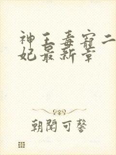 神王毒宠二嫁王妃最新章