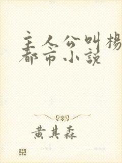 主人公叫杨帆的都市小说