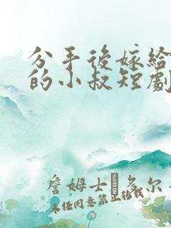 分手后嫁给渣男的小叔短剧视频