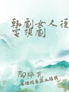 韩剧女人复仇的电视剧