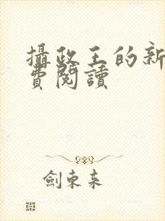 摄政王的新宠免费阅读