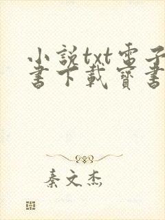 小说txt电子书下载宝书网