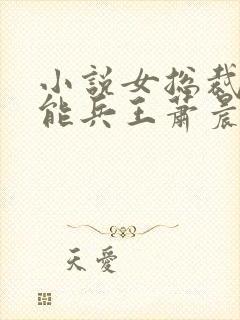 小说女总裁的全能兵王萧晨全文