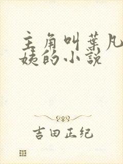 主角叫叶凡和小姨的小说