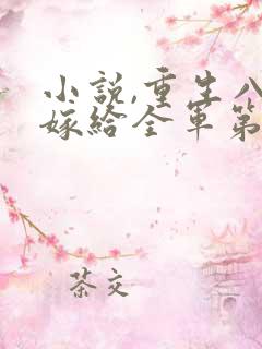 小说,重生八零嫁给全军第一硬汉