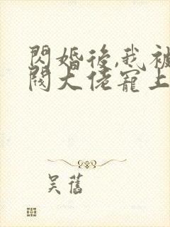 闪婚后,我被财阀大佬宠上天