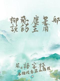 柳飞尘是哪部小说的主角