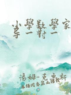 小学数学家教辅导一对一