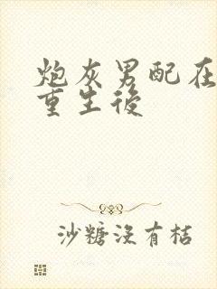 炮灰男配在末世重生后