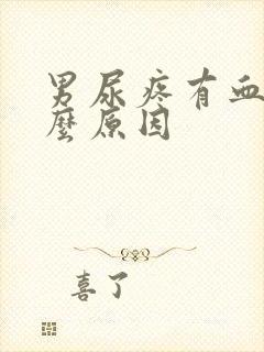 男尿疼有血是什么原因