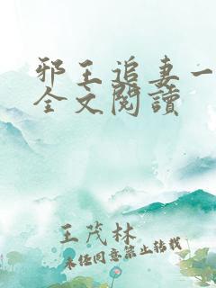 邪王追妻一百式全文阅读