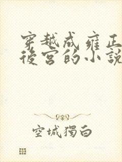 穿越成雍正极品后宫的小说