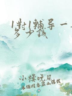 1对1辅导一般多少钱