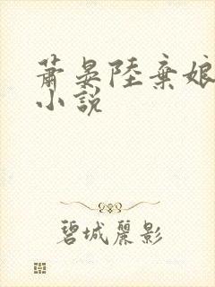 萧晏陆弃娘全文小说