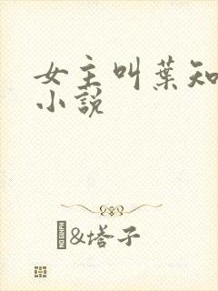 女主叫叶知意的小说