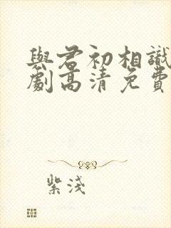 与君初相识电视剧高清免费观看