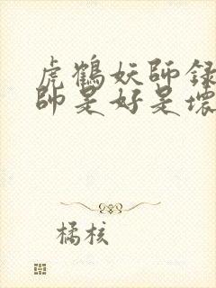 虎鹤妖师录大师帅是好是坏